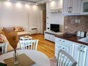 Studio Zelena oaza, Zlatibor